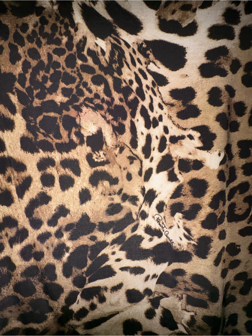 Roberto Cavalli Leopard Print Long Sleeve Maxi Dress - Brown/Black médium - Picture 7 of 11
